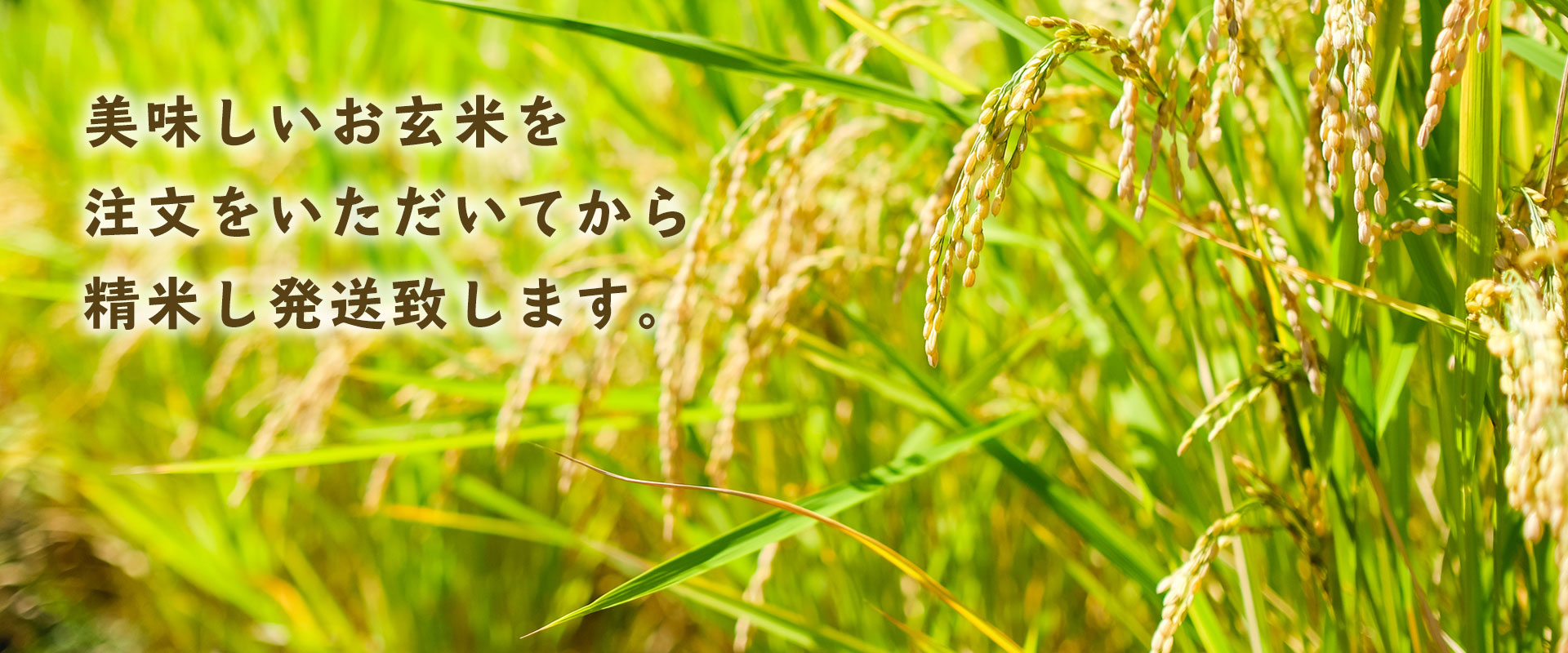 米農家 すがたらいす｜飛騨ほたる米